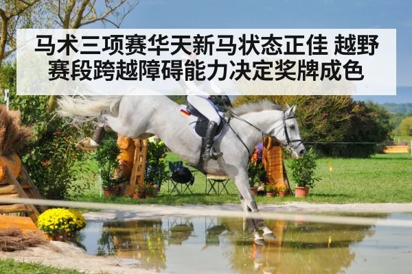 equestrian eventing cross country