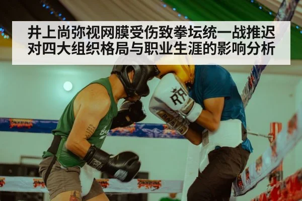 井上尚弥视网膜受伤致拳坛统一战推迟 对四大组织格局与职业生涯的影响分析